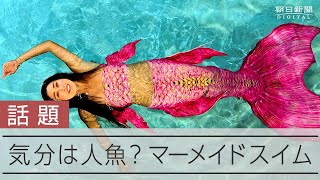 人魚に憧れ、そして「人魚の学校」を作った　水中できらめく夢とひれ